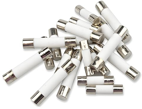 6x30 mm 10A 10 amp 250V 250 Volt 0.23x1.18 Inch F10A 250V Schnellblaskeramik Sicherungen (10 Stück)