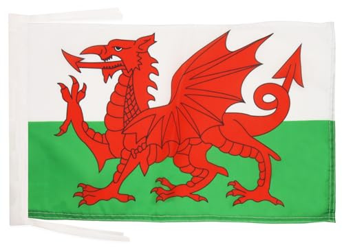 AZ FLAG Drapeau Pays de Galles 45x30 cm Gallois Polyester 100D Cordelettes | Usage intérieur et extérieur Drapeau décoratif coutures doubles et bords renforcés
