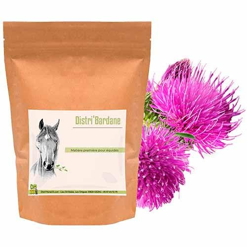 Bardane pour Cheval – Drainage Naturel Foie Reins et Flore Intestinale – Soutien Peau, Digestion et Élimination des Toxines – Plante Pure Détox Équidé – DistriHorse33