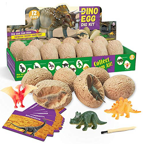 Dr. Daz Kit de Fouilles de Dinosaures
