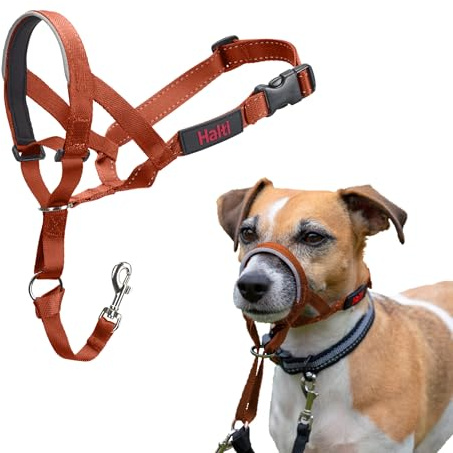 HALTI Headcollar - För att hindra din hund från att dra i kopplet. Justerbar, reflekterande och lätt, med vadderat näsband. Anti-draghalsband för hundträning för små hundar (Storlek 1, Bränd Apelsin)