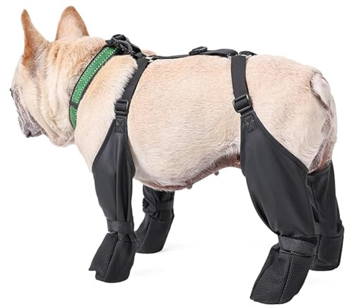 Ejoyous Hundstövlar, Vattentäta Hundstövlar, Hundskor, Halkfria Leggings för Hundtassar, Justerbara för Promenader på Snöiga Vinterdagar (M)