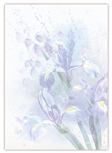 Motiv Briefpapier (Lilien-5036, DIN A4, 25 Blatt). Einseitig bedrucktes Briefpapier, sehr gut beschreibbar, Motivpapier für alle Drucker/Kopierer geeignet Motiv blaue Lilien Schwertlilien im Regen