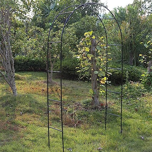 Arche de roses en métal pour jardin, terrasse, noir, 240 x 220 x 200 cm, idéal pour les légumes, les courges et la décoration de fête de mariage