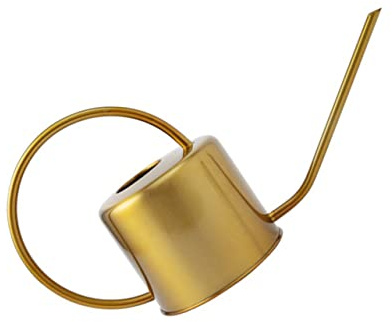 Hemobllo Arrosoir Acier Inoxydable Bec Long Doré Arrosoir Pratique pour Jardinage Intérieur Et Extérieur Facile à Tenir Et Résistant Corrosion