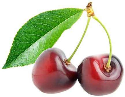 Süßkirsche 'Van' Hochstamm 120 cm - Selbstbestäubend, Ertragreiche Kirschen, Ideal für Garten und Obstbaumplantagen, Prunus avium