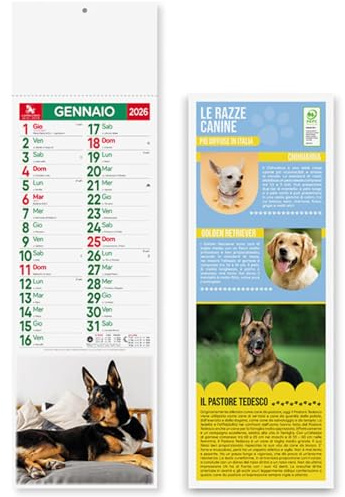 Hole Gadget | Calendari Personalizzati 2026 Cani e Gatti Slim in Stock da 100 Pezzi Olandesi Piccoli da Muro per Gadget Pubblicitari di Fine Anno e come Omaggio per i Clienti o Regali Aziendali PA191