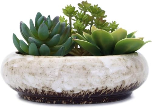 GYJZZW Macetas redondas grandes de cerámica esmaltada para suculentas de 7.3 pulgadas con agujero de drenaje, macetas de bonsái decorativas para jardín, soporte de cactus (blanco)