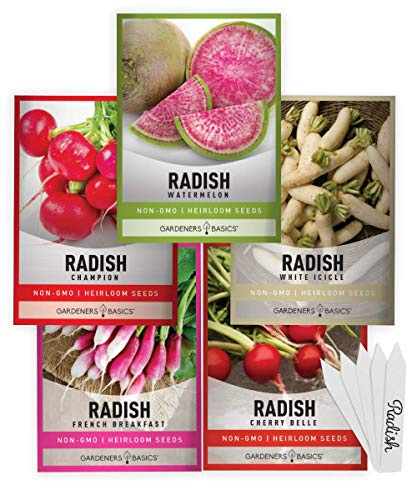 Gardeners Basics, Radish Seeds for Planting 5 Individual Packets - Watermelon, French Breakfast, Champion, Cherry Belle, White Icicle for Your Non GMO Heirloom Vegetable Garden