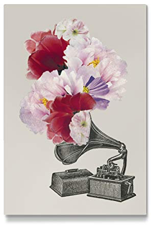 artboxONE Galerie-Print 120x80 cm Blumophon hochwertiges Acrylglas auf Alu-Dibond Bild - Wandbild von Amy&Kurt