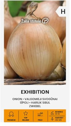 Zalia stotele | Cipolla - Semi da esposizione | Semi di ortaggi | Semi di piante | Semi di cipolla | Semi da giardino | Le cipolle vegetali possono essere seminate in piccoli vasi | 1 confezione