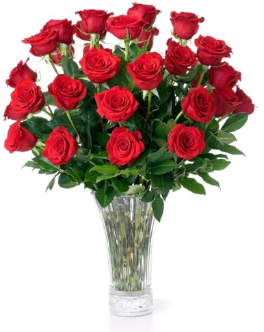 Aquarossa Farms – Mothers Day Flowers for Delivery, Fresh Flowers Bouquet, Handpicked from the Farm, Gift for Mom, Birthday, Anniversary, or Just Because – 24 Red Fresh Roses