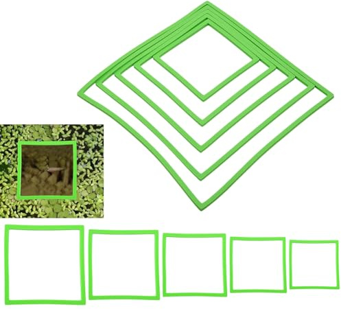 Anillo de alimento para fallas, anillos flotantes para - Anillos cuadrados para peces - 5 tamaños 10 Uds anillos flotantes para plantas acuáticas adecuadas para nuestras y seguras y para aumentar la