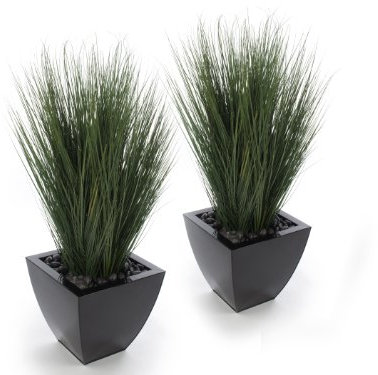 Closer2Nature Artificial 3ft (90cm) Onion Grass Plants x2, Artificial Silk Plant and Tree, Faux Decoration Plants for Indoors in Home, Kitchen, Lounge and Office - Planter Not Included