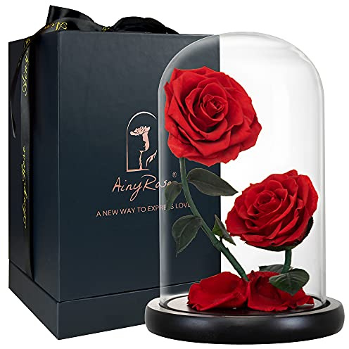 AINYROSE Gifts for Women Forever Preserved Red Rose,Birthday Valentines Day Gift with Red Eternal Flower in Glass Dome,Gifts for Valentine's Day Mothers Day Christmas Anniversary Birthday (#red)