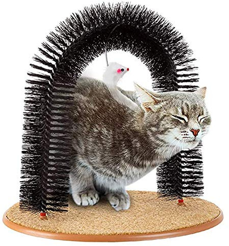 Katzenbürste Cat Self Grooming, Toll, Tägliche Übung Hinzuzufügen, Um Die Getönten Muskeln Zu Unterstützen Und Ihr Kätzchen Aktiv Und Gesund Zu Halten