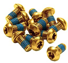 Reverse 12 Stück Scheibenrotorbolzen M5x10mm 25g