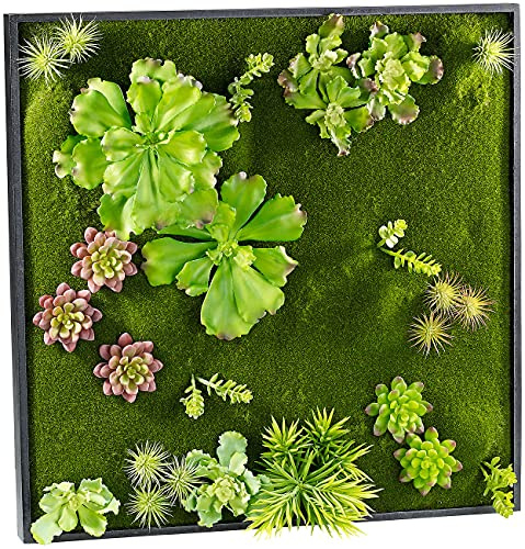 Carlo Milano Wanddeko: Vertikaler Wandgarten Ken mit Deko-Ranken, 60 x 60 cm (Wandpflanzen, Minigarten, Topf)
