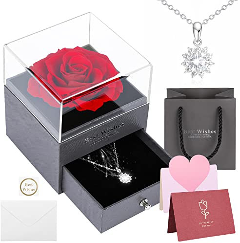 TAIYOU Caja Joyería Regalo Rosa Eterna Flores Collar de Diamantes Regalo Romántico Mujeres para San Valentín Cumpleaños Madre Aniversario Navidad Boda