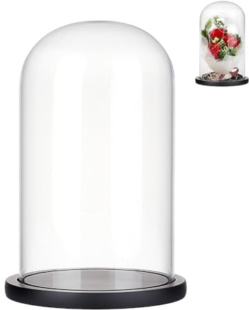 NBEADS Cupola di la Cloche con Display in Vetro, con Cupola in Vetro Trasparente con Base in Legno Nero per Decorazioni Centrotavola da Tavolo per Ufficio e Casa da Collezione, 15x25.5cm