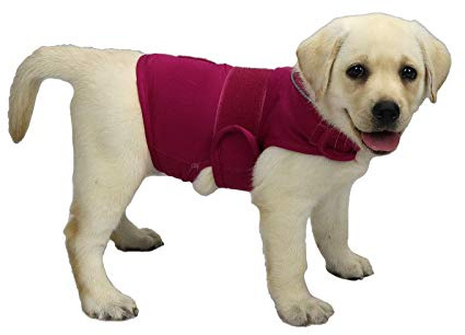 cattamao Comfort Abrigo para aliviar la ansiedad del perro, chaleco calmante de ansiedad para tormentas eléctricas, viajes, fuegos artificiales del 4 de julio, visitas veterinarias, alivio de ansiedad
