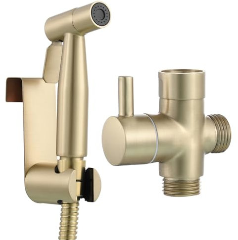 Tecmolog Doccia Bidet Portatile in Acciaio Inox Set di Doccetta WC con Tubo per Igiene Personale Oro Spazzolato, WS024J2F