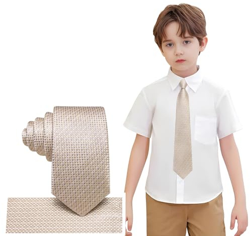 Hi-Tie Boy's Self Tie Classic Necktie Pocket Square Set | Regular Tie Fit,Necktie with Handkerchief,Paisely,Comfortable,Graduation School Uniforms Wedding Performance