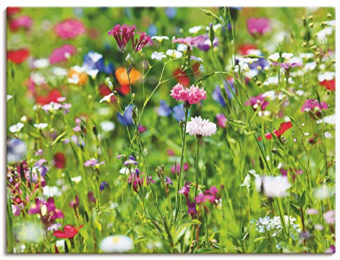 ARTLAND Wanddeko Leinwand Bilder Wandbild 60x45 cm Blumen Blüten Blumenwiese Botanik Sommer Modern Kunst Q6WQ