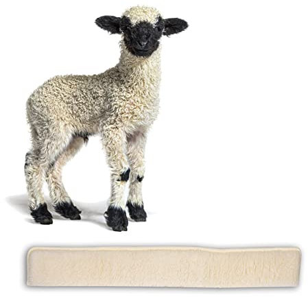 BigDean Zugluftstopper für Türen 100cm - 100% Schurwolle - Beige - Türluftstopper Luftzugstopper Windstopper - Made in Germany