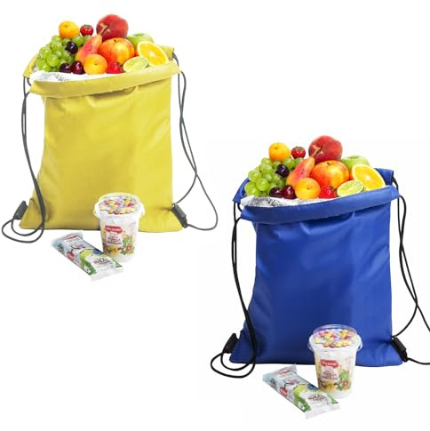 Insulated Cooler Bag for Lunch, Picnic & Travel - Small, Portable & Stylish - Keep Food Fresh