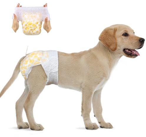 Flying Paws Pañales para Cintura elástica Perras en Calor Desechables (15, L(30-50cm))