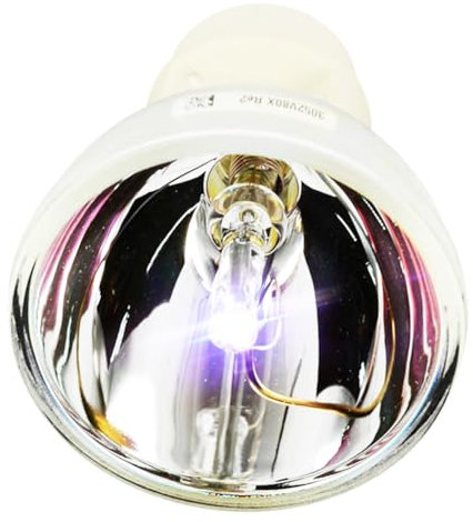 iReijomoi Lampe de rechange BL-FP230I / SP.8KZ01GC01 pour projecteur OPTOMA HD300X/HD33/HD3300