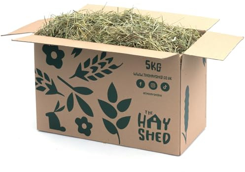 The Hay Shed Rye Grass Hay for Small Pets – Long Stem Feeding Grass Barn Dried, Dust Free, High Fibre, Natural Green Stem Feeding Hay for Rabbits, Guinea Pigs, Chinchillas – 5kg