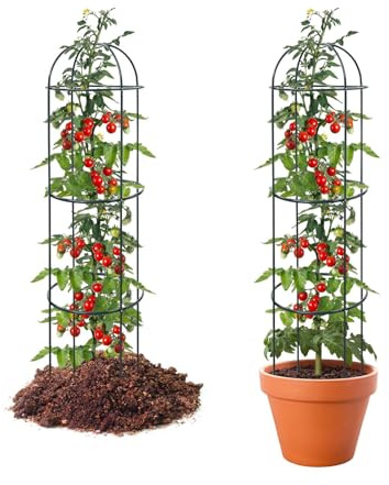 Rankhilfe 2 Stück für Kletterpflanzen Outdoor, 190cm Hoch Rankobelisk, Stabiler Metall Pflanzenständer für Blumen, Obst, Gemüse, Gurken, Tomaten, Rosen, Clematis, Erbsen, Bohnen im Hochbeet