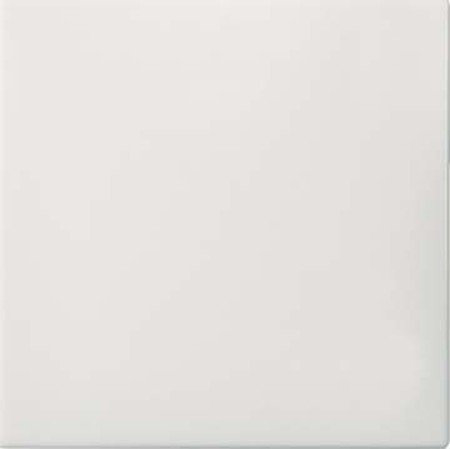 Elso Wippe UniversalSchalter Taster Joy, perlweiß, 273600