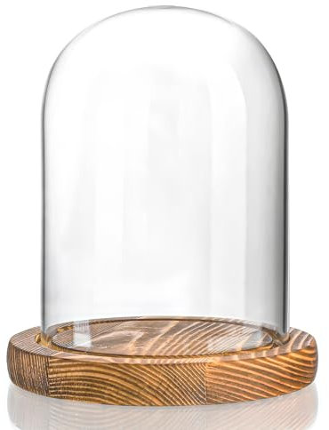 ZEERSHEE Glasglocke mit Holzsockel für Heimdekoration (15 x 12,4 cm)