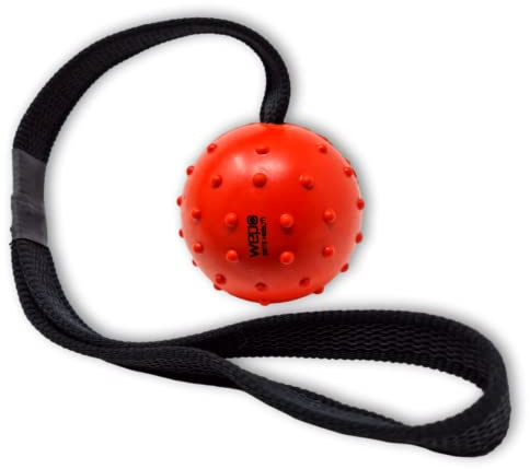WEPO EA0250