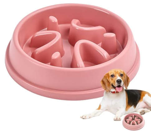 Gamelles pour Chien à Alimentation Lente Petite Race, Gamelles pour Chien à | Bol d'alimentation lente anti-avalement p