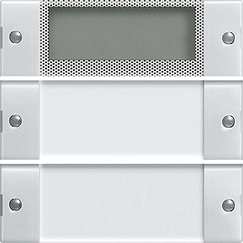 Gira 214203 Wippenset 2 fach Plus Beschriftungsfeld System 55, klar / reinweiß