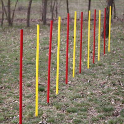 Wuzzmann Fun Agility Agility-Übungs-Slalom-Set Rot/Gelb Flexible, Runde Stangen für Hunde