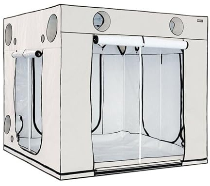 Weedness HOMEbox Carpa de Cultivo 240x240x220 cm - Armario de Cultivo Carpa de Cultivo Caja de Cultivo Invernadero Impermeable Cultivo Interior