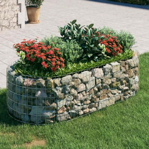 Myheimly Gabionen-Hochbeet Verzinktes Eisen 200x100x50 cm