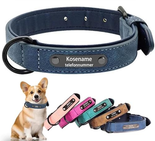 Aeor Individuelles Hundehalsband aus Weichem PU, Laser-Gravur, Verstellbar für Kleine, Mittlere und Große Hunde (S: Verstellbar 25-31cm, Breite 1,5cm)