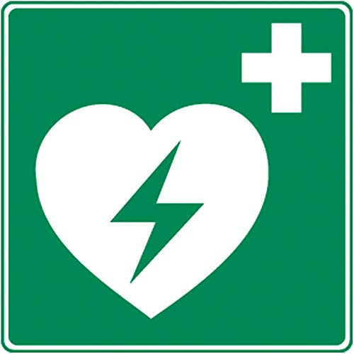 Holthaus Medical Rettungszeichen Defibrillator Schild Hinweis Tafel, nachleuchtend, 20x20cm