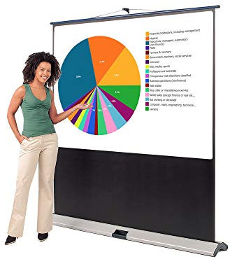 Superior Portable Freestanding Projection Screen Pull-up with a Case for Home Cinema, School, Office, Video, Movie ((H)1010 x (W)1800mm - 79diag 16:9)