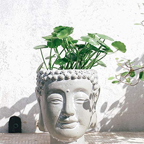 Feng Shui Decoracion Suerte Estatua Budas Decorativos Cemento Cabeza De Buda Suculentas Flor Pequeña Contenedores De Plantas Decoración Cabeza De Buda Maceta Hecha Vieja Decoración De La Mesa De Té De