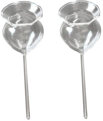 YARNOW Globes à Arrosage Automatique en Verre Argentés 2 Pièces | Plantes en Pot et Plantes D’intérieur, Design Transparent, Usage Maison ou Jardin, Aide au Dosage