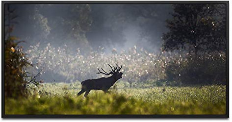 Hirsch im Wald ca. 130x70cm Wandbild inklusive Schattenfugenrahmen schwarz - Panorama Leinwand Bild XXL Format Wandbilder Wohnzimmer Wohnung Deko Kunstdrucke