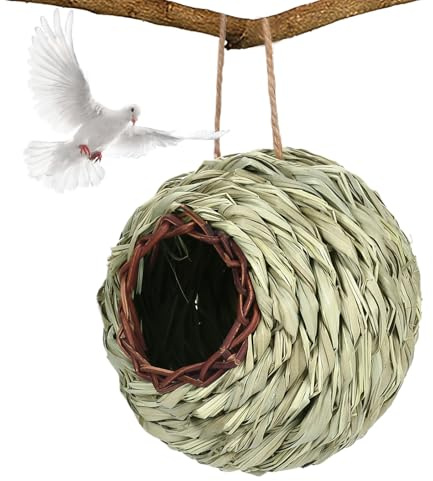 Casa de colibrí – Casa para pájaros al Aire Libre – Decoración Natural para Patio, balcón, césped, Patio, árbol, Ventana del hogar