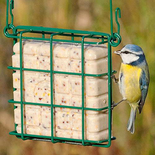 Awardroom Vogel Futterstation Energieblock-Halter aus Metall mit Hängender Draht Halterung für Vogel